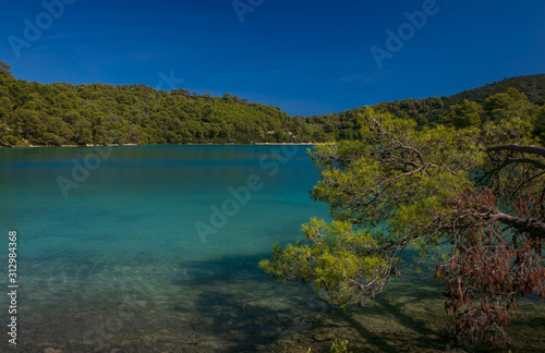 azure blue water embedded in green pine forest