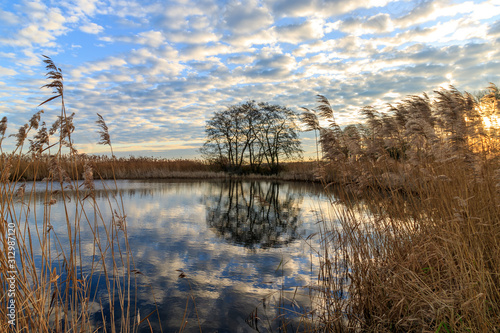 Reflection of clouds and trees in lake