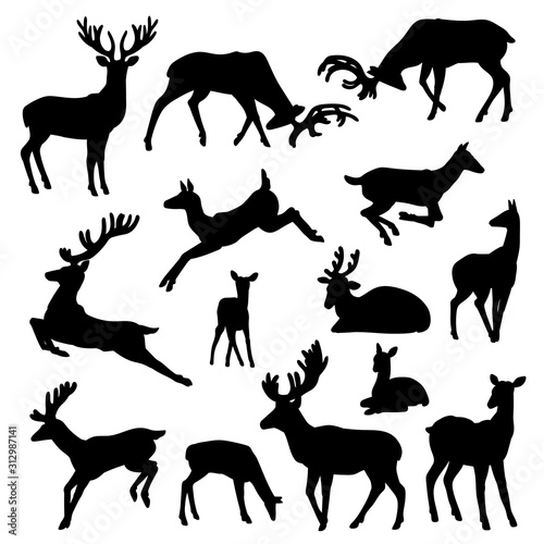 Wild deer silhouette vector set males and females with babies in different poses illustrations isolated on white background.