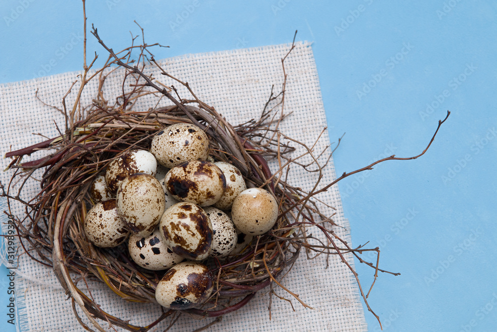 Obraz premium quail eggs in a nest of branches on a blue background, light fabric, Easter background, natural food, copy space, top view