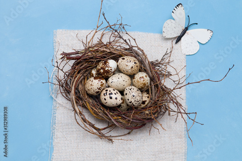 quail eggs in a nest of branches on a blue background, light fabric, Easter background, natural food, copy space, top view, decorative butterfly
