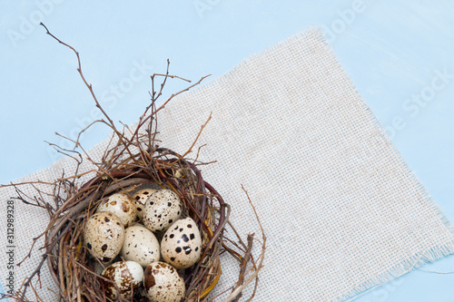 quail eggs in a nest of branches on a blue background, light fabric, Easter background, natural food, copy space, top view..