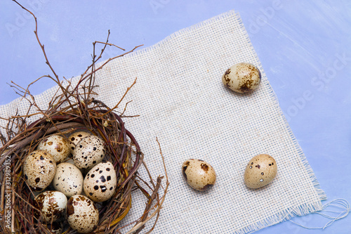 quail eggs in a nest of branches on a blue background, light fabric, Easter background, natural food, copy space, top view.