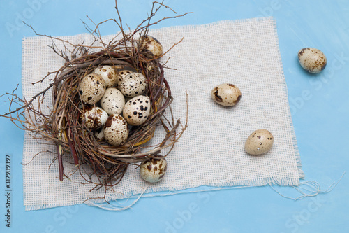 quail eggs in a nest of branches on a blue background, light fabric, Easter background, natural food, copy space, top view