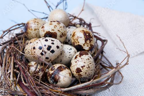 quail eggs in a nest of branches on a light blue background, linen fabric, copy space. Easter background, close-up