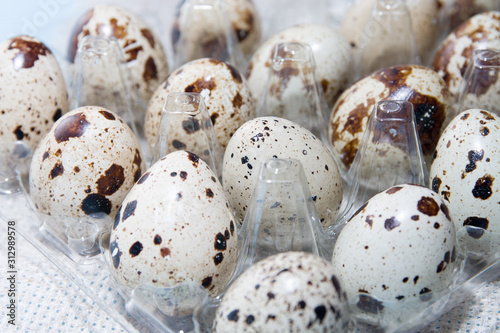 quail eggs in a plastic transparent tray for eggs on a light background, linen fabric, copy space. Easter background, close-up