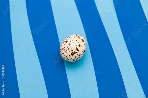 one quail egg on a blue background