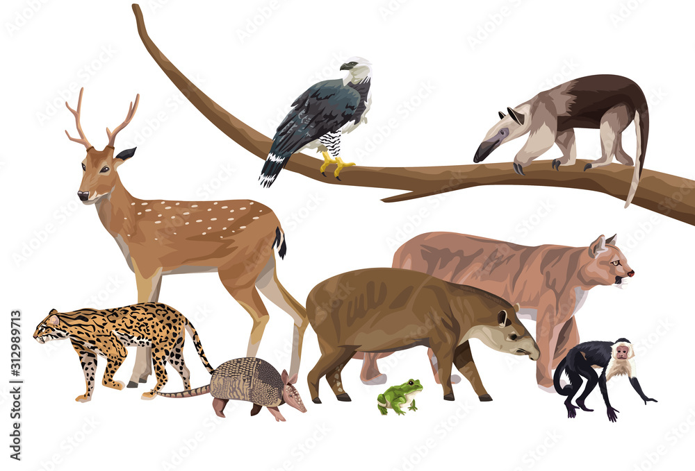 group of wild animals characters