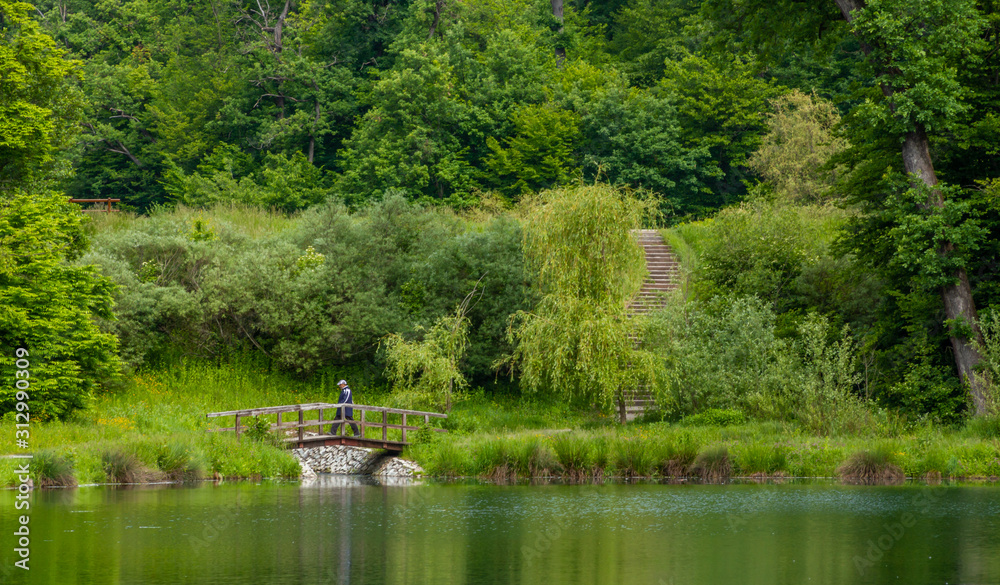 Obraz premium Man walking over a small wooden bridge on a lake in park Maksimir in Zagreb. Green tree reflections in water. Man exercising in a park