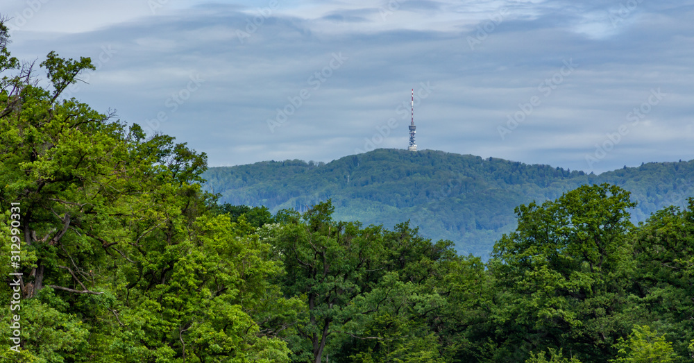 Maksimir green scenery with green trees and mountain Medvednica with tv tower on top in Zagreb