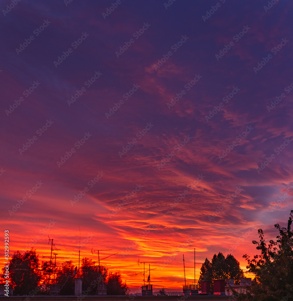 Bloody sky sunset with saturated red and yellow clouds and purple sky with silhouette tree tops