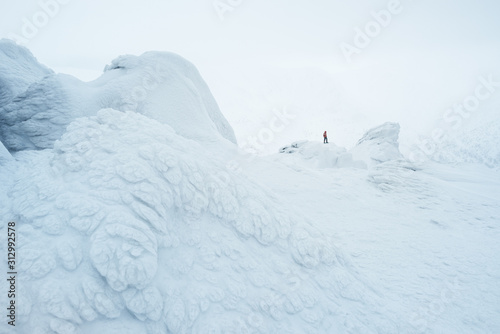 Snow white landscape with hoarfrost in the mountains © Oleksandr Kotenko