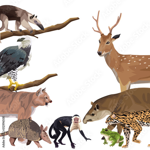 Fototapeta Naklejka Na Ścianę i Meble -  group of wild animals characters