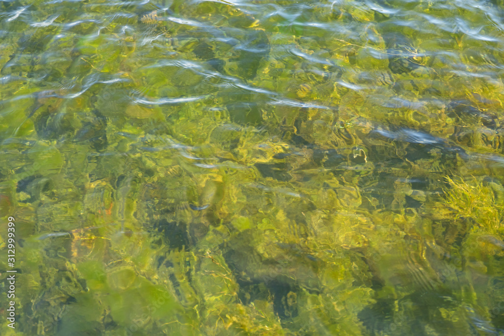 An abstract view of a lake bed could be used as a background