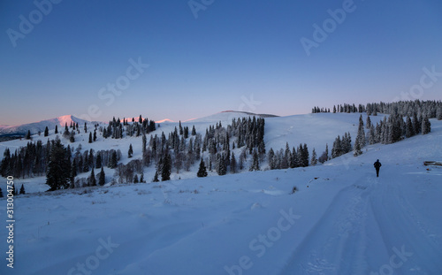 Abstract background, nature landscape in Rodna Mountains, on a very cold winter morning day, with trees and road covered with fresh snow