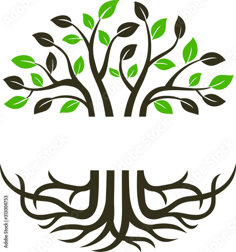 Circular trees and roots