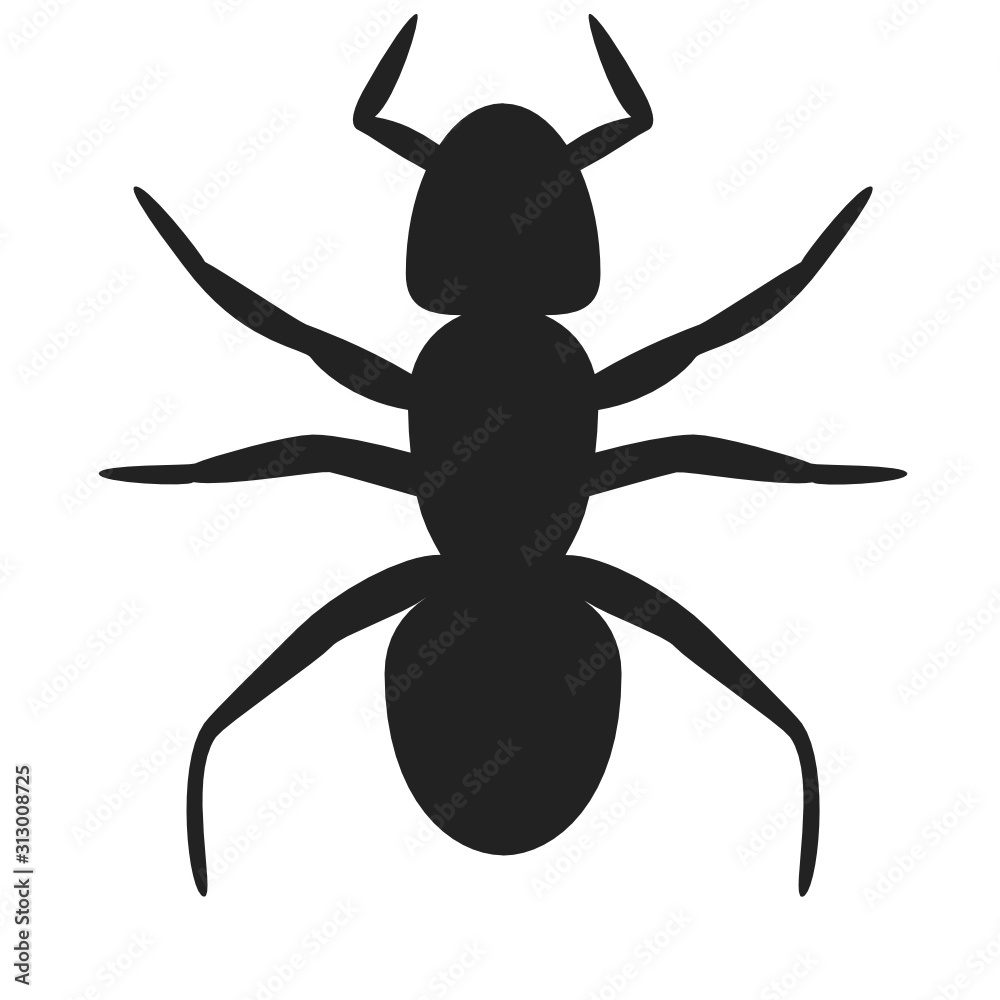 silhouettes of insects