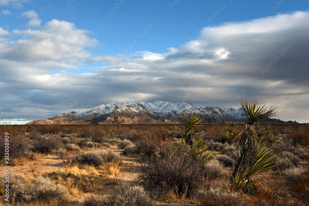 Dramatic clouds over snowy Eagle Mountains in Joshua Tree National Park, California, USA
