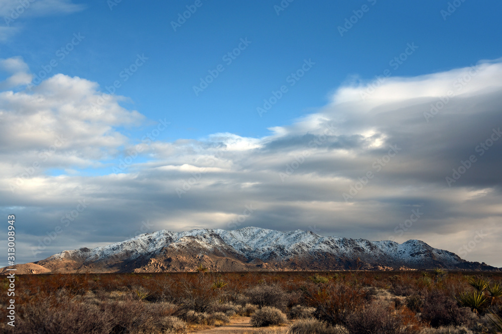 Dramatic clouds over snowy Eagle Mountains in Joshua Tree National Park, California, USA