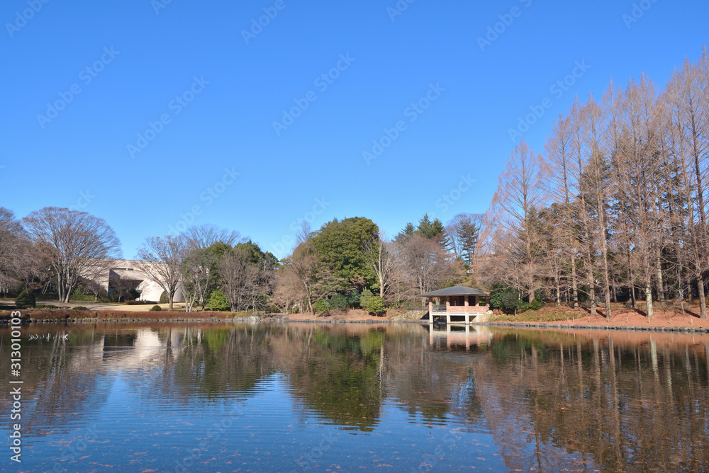 Fototapeta premium 冬の栃木県中央公園