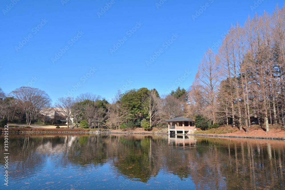 Fototapeta premium 冬の栃木県中央公園