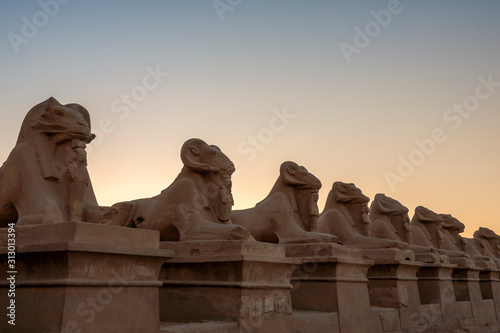 Allee der widderköpfigen Sphinxen am Karnak Tempel photo