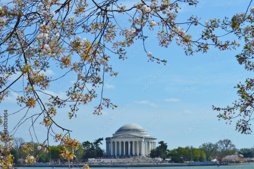Obraz premium Washington DC