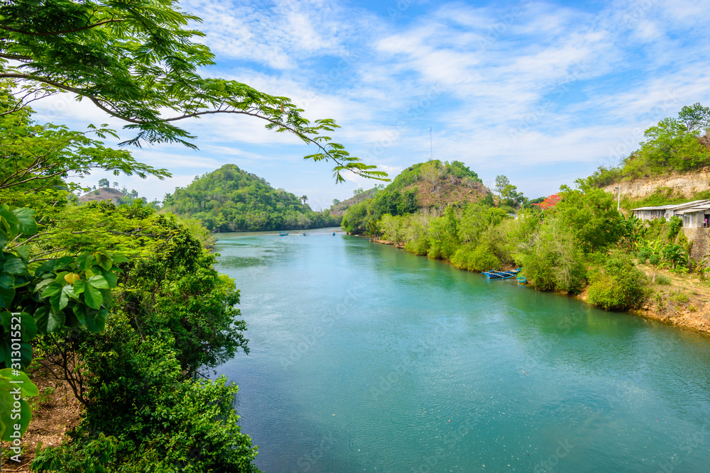 landscape with river and trees