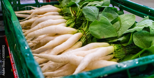 Rübe Rettich weiss gesund frisch Gemüse radish