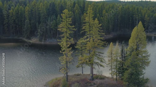 Aerial: Flying over an island with trees on a calm lake in autumn. Seeley Lake, Montana, USA photo