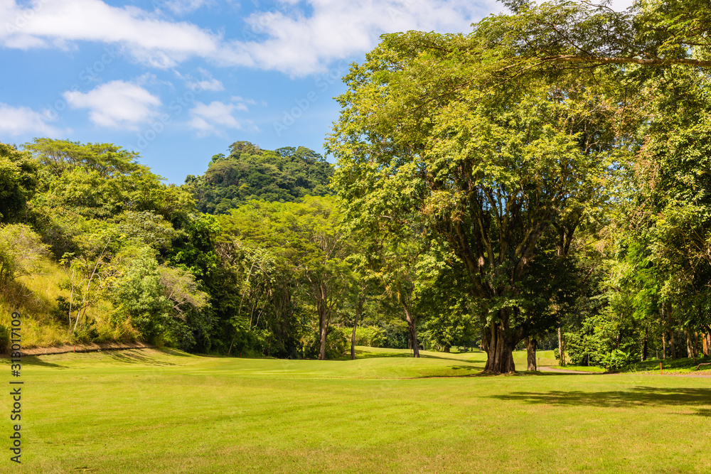 Landscape at the golf course. Tropical zone Landscape at the golf course. Tropical zone