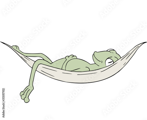 frog sleeping in hammock