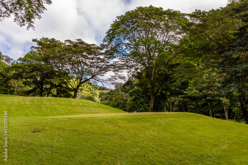 Fototapeta Naklejka Na Ścianę i Meble -  Landscape at the golf course. Tropical zone