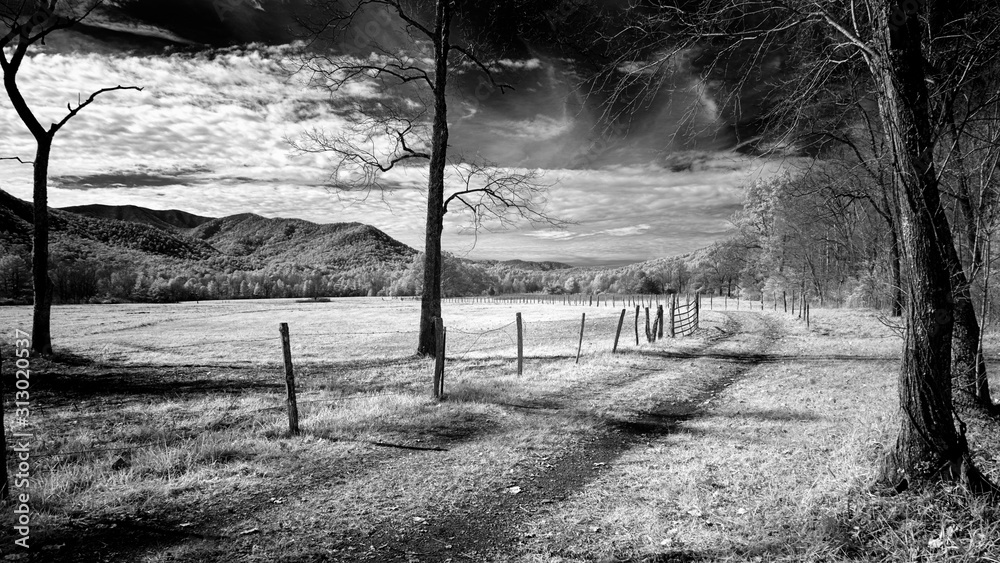 Fototapeta premium Dirt Road