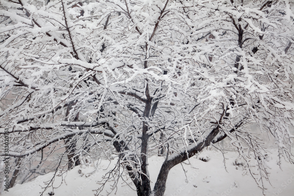 It’s a snow day It’s a snow day