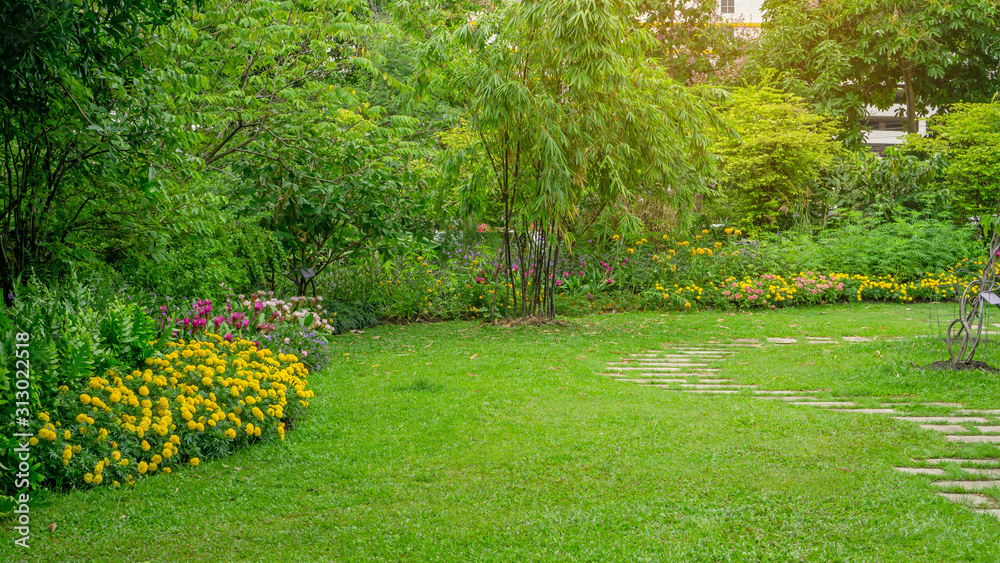 Green grass lawn in a garden with pattern of grey concrete stepping stone , Flowering plant, shrub , Green Grass Lawn In A Garden With Pattern Of Grey Concrete Stepping Stone , Flowering Plant, Shrub ,