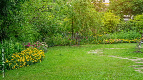 Green grass lawn in a garden with pattern of grey concrete stepping stone , Flowering plant, shrub , trees on backyard under morning sunshine with good care landscaping in a public park