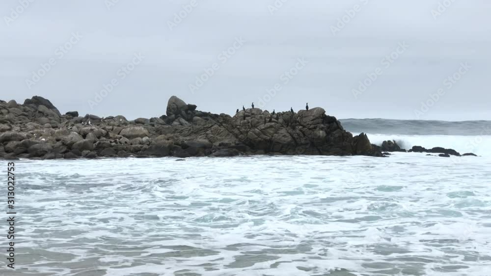 4K HD video waves crashing over rocks on shore in Northern California. High Surf advisory . Birds on rocks 4K HD video waves crashing over rocks on shore in Northern California. High Surf advisory . Birds on rocks