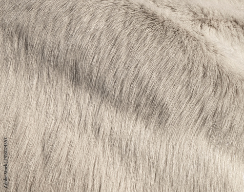 white horse's fur