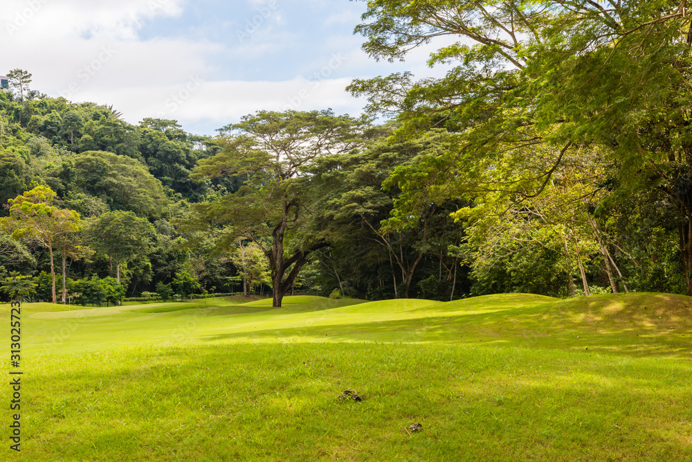 Landscape at the golf course. Tropical zone