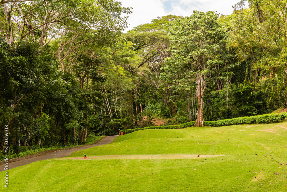 Obraz premium Landscape at the golf course. Tropical zone
