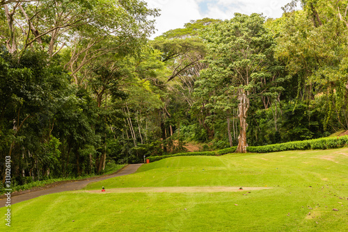 Landscape at the golf course. Tropical zone © lihana