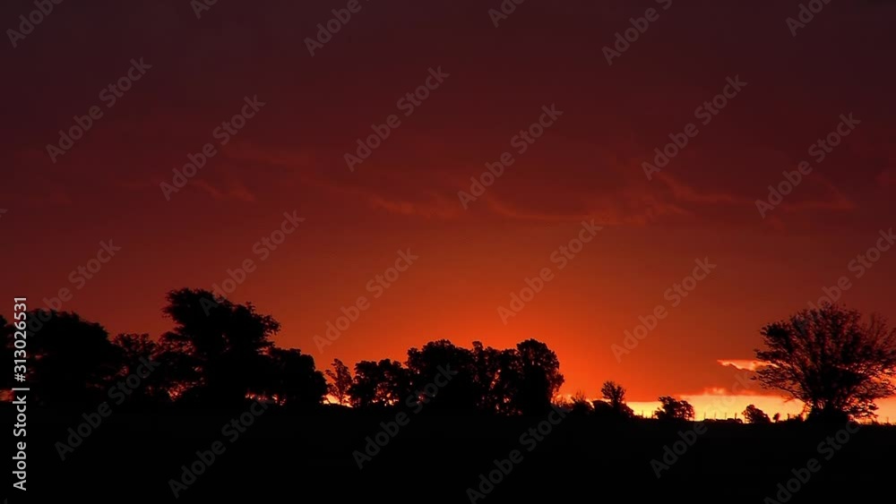 Sun Rising In The Horizon In A Rural Field. Sun Rising In The Horizon In A Rural Field.