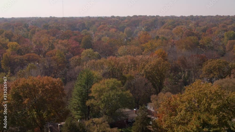 View of colorful Autumn trees pull back and descend down to a park View of colorful Autumn trees pull back and descend down to a park