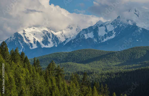 Mountain landscape, snow-capped peaks and trees. Summer day, cloudy sky. © Valerii