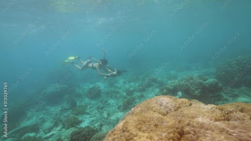 Women in a sexy swimsiut swimming under the ocean near corals. Women in a sexy swimsiut swimming under the ocean near corals.