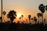 Silhouette palm trees and landscape of rice fields filled on twilight time and sunrise orange sky.