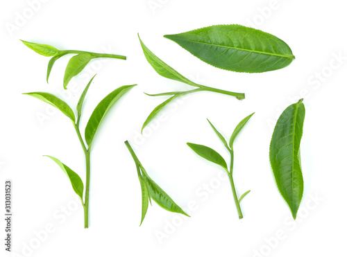 Green tea leaf isolated on white background.Top view