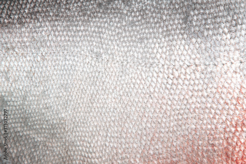 Photography Fish scale white pomfret skin texture , animal nature seamless pattern grey back