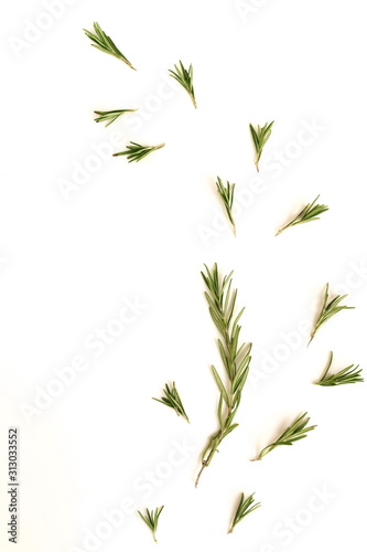 rosemary herb leaves isolated on white background. flat lay  top view.abstract